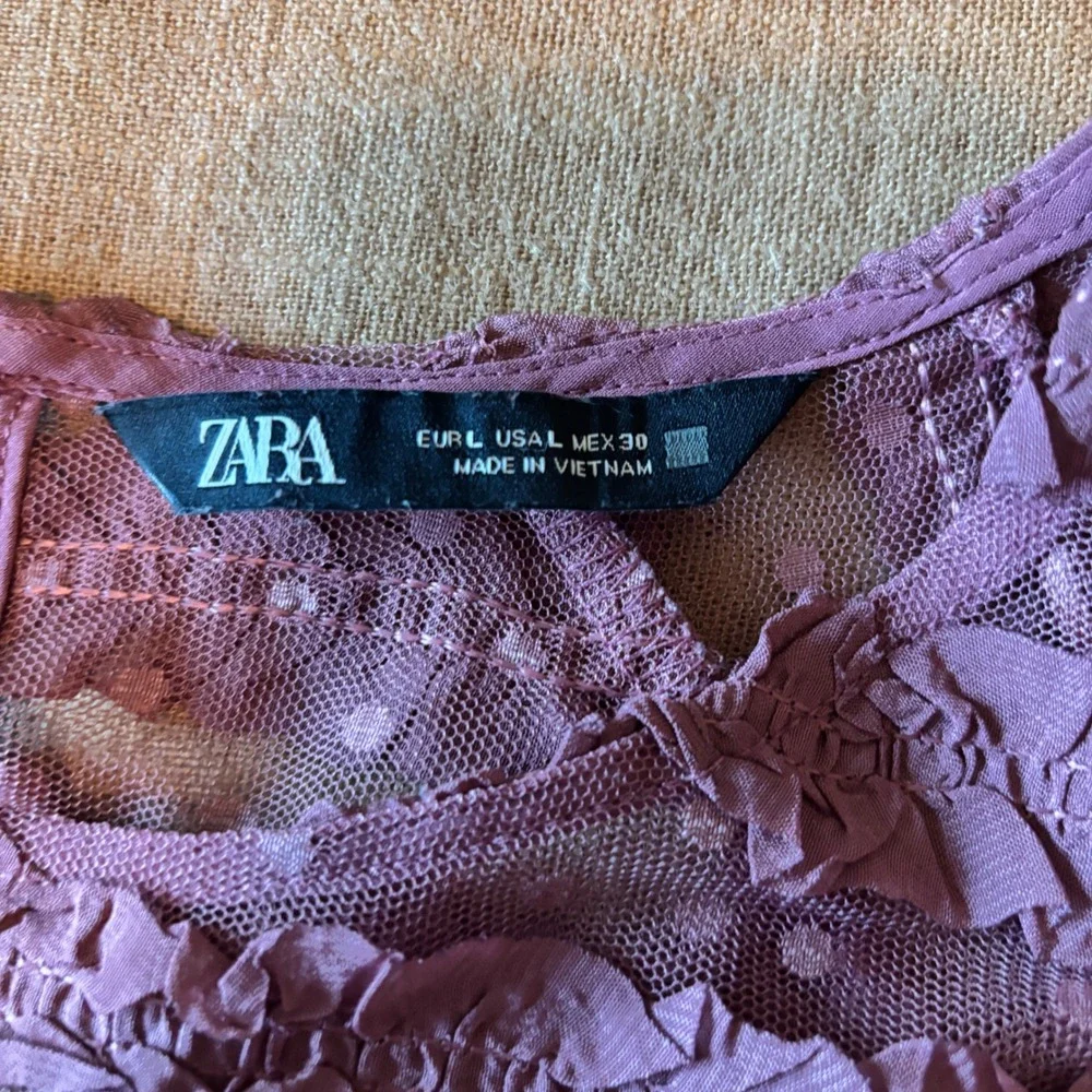Zara Top Large Sheer Ruffle Swiss Dot Mauve Romantic Ethereal Blouse